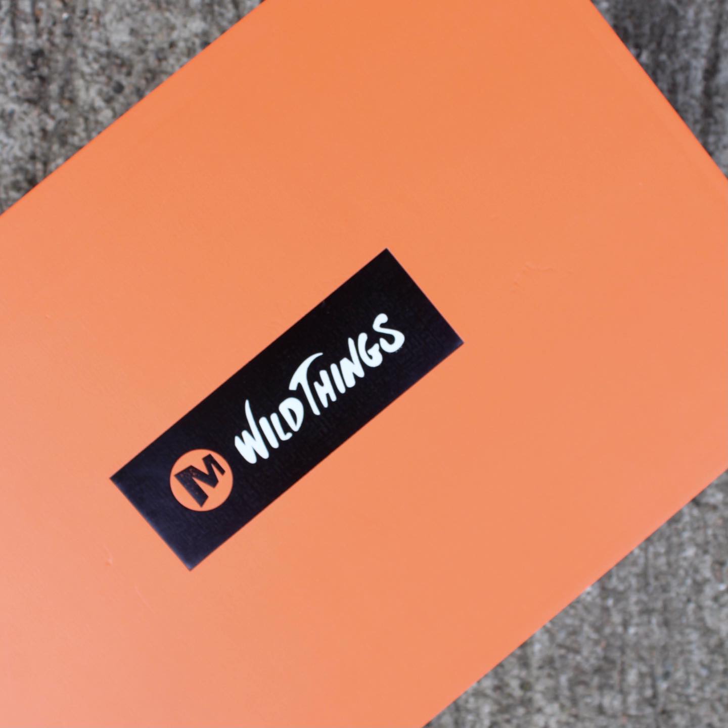 WILD THINGS X MERRELL Agility Peak 4