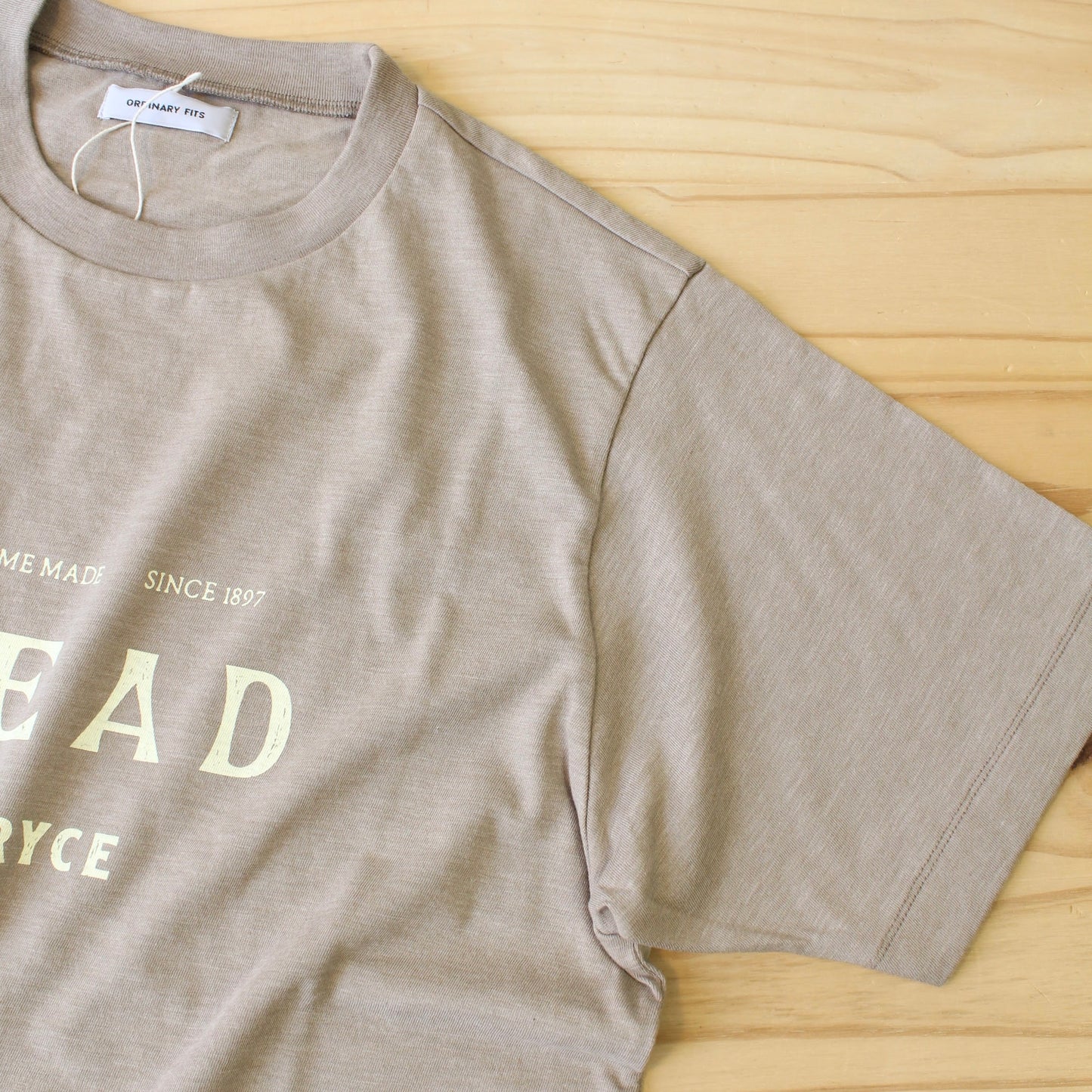 ORDINARY FITS -
PRINT TEE